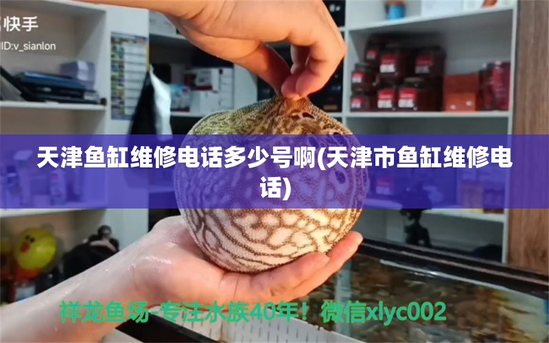 天津魚缸維修電話多少號啊(天津市魚缸維修電話) 七彩神仙魚