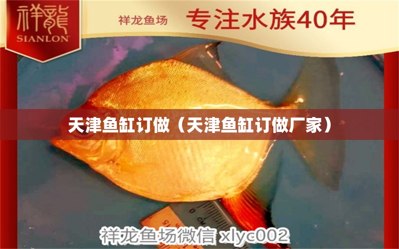 天津魚(yú)缸訂做（天津魚(yú)缸訂做廠家） 廣州龍魚(yú)批發(fā)市場(chǎng)