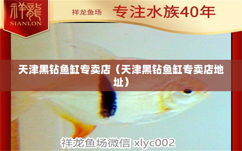 天津黑鉆魚缸專賣店（天津黑鉆魚缸專賣店地址） 祥龍水族醫(yī)院