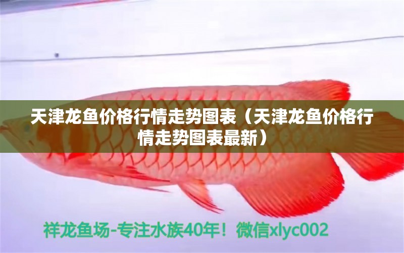 天津龍魚價(jià)格行情走勢圖表（天津龍魚價(jià)格行情走勢圖表最新）