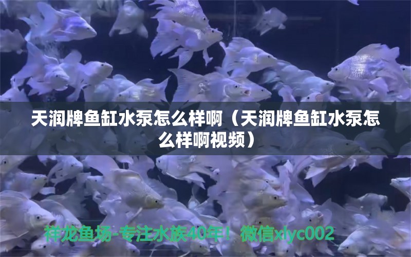 天潤牌魚缸水泵怎么樣?。ㄌ鞚櫯启~缸水泵怎么樣啊視頻）