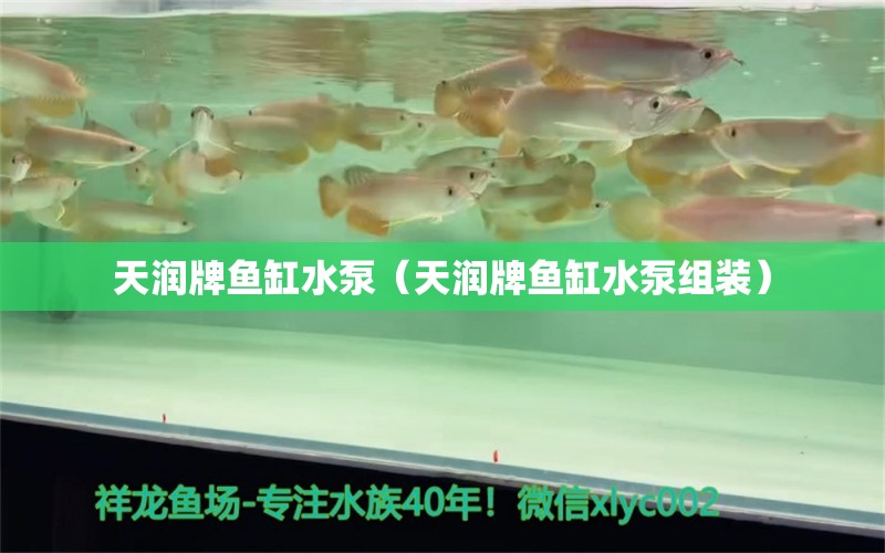 天潤牌魚缸水泵（天潤牌魚缸水泵組裝）