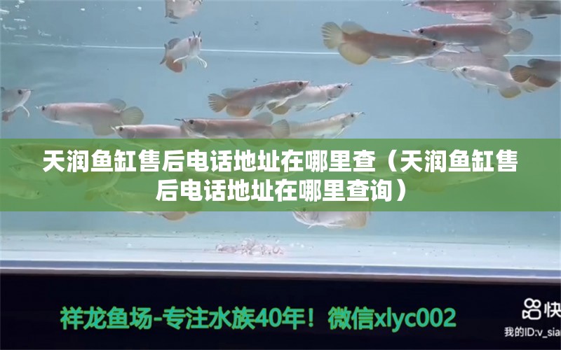 天潤魚缸售后電話地址在哪里查（天潤魚缸售后電話地址在哪里查詢）