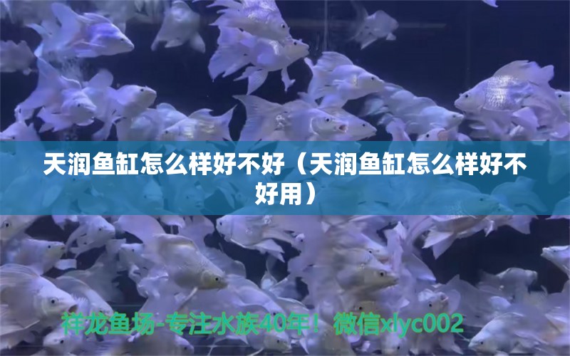 天潤魚缸怎么樣好不好（天潤魚缸怎么樣好不好用）