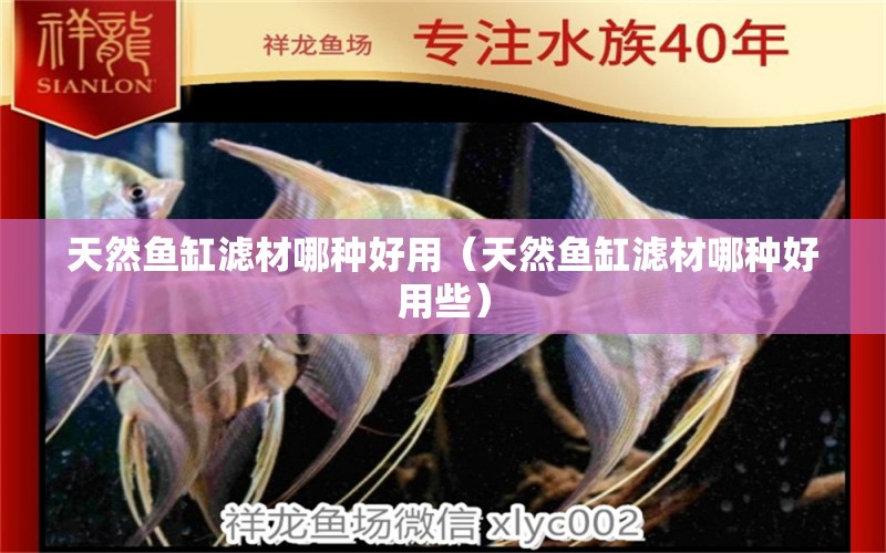 天然魚缸濾材哪種好用（天然魚缸濾材哪種好用些） 祥龍水族醫(yī)院