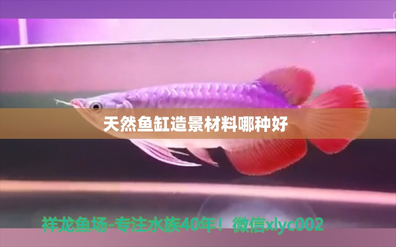 天然魚缸造景材料哪種好  水族世界