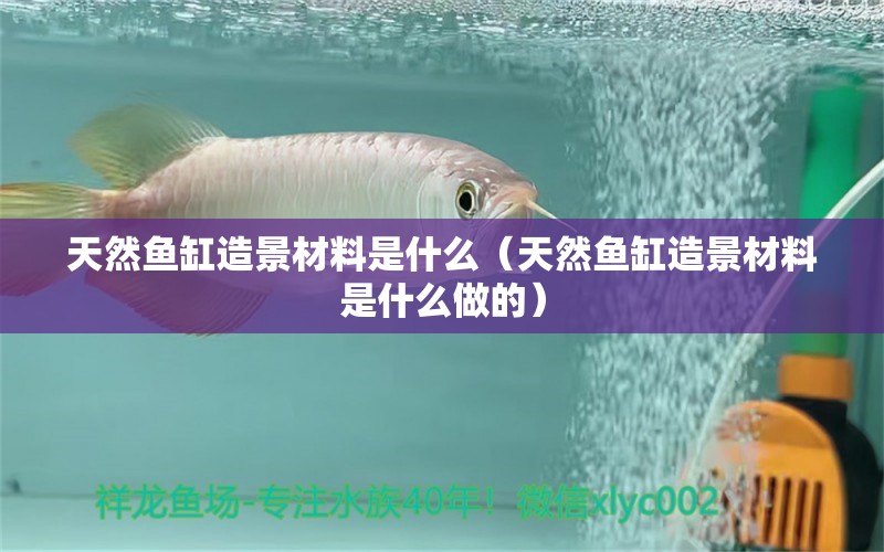 天然魚缸造景材料是什么（天然魚缸造景材料是什么做的） 祥龍魚場(chǎng)