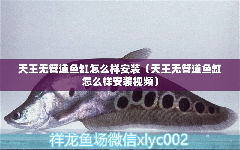 天王無(wú)管道魚缸怎么樣安裝（天王無(wú)管道魚缸怎么樣安裝視頻） 祥龍水族醫(yī)院