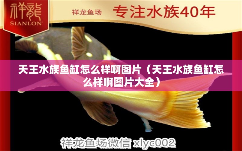 天王水族魚缸怎么樣啊圖片（天王水族魚缸怎么樣啊圖片大全）