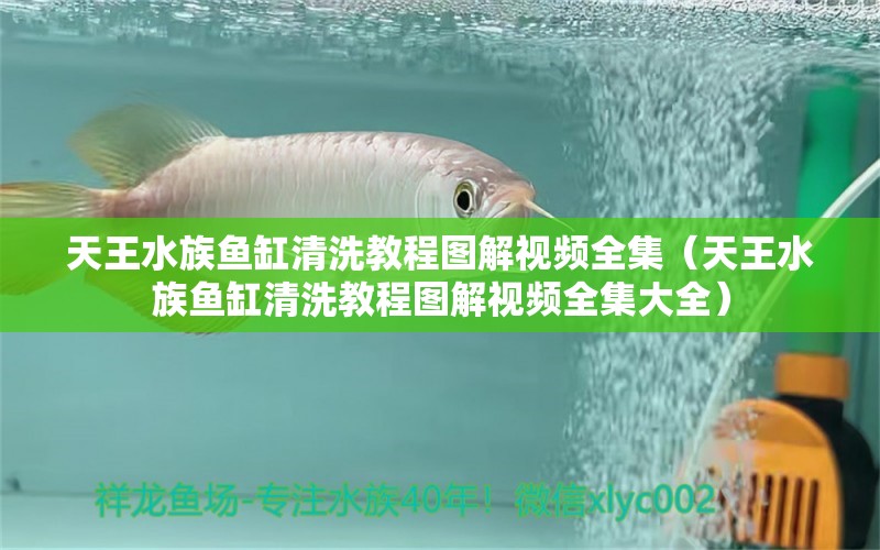 天王水族魚缸清洗教程圖解視頻全集（天王水族魚缸清洗教程圖解視頻全集大全）