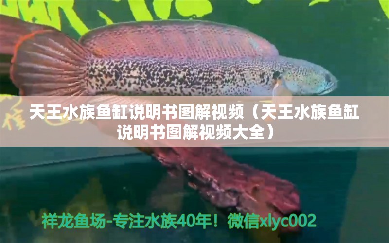 天王水族魚缸說明書圖解視頻（天王水族魚缸說明書圖解視頻大全）