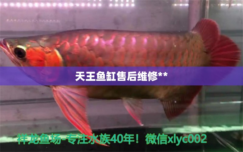 天王魚缸售后維修**