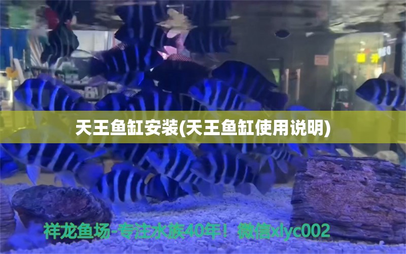 天王魚缸安裝(天王魚缸使用說明)