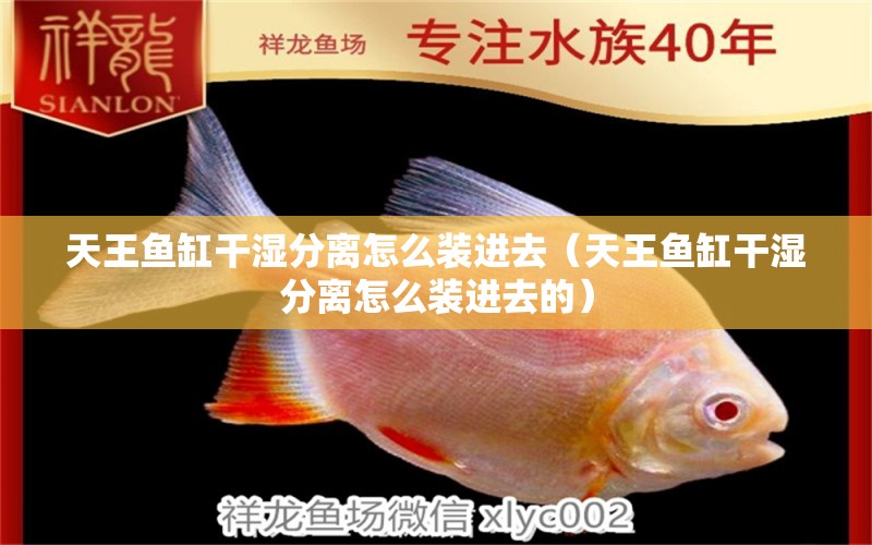 天王魚(yú)缸干濕分離怎么裝進(jìn)去（天王魚(yú)缸干濕分離怎么裝進(jìn)去的）