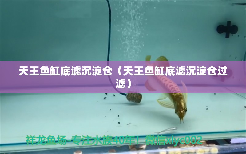 天王魚缸底濾沉淀倉（天王魚缸底濾沉淀倉過濾）