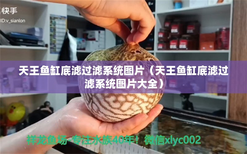 天王魚缸底濾過濾系統(tǒng)圖片（天王魚缸底濾過濾系統(tǒng)圖片大全）