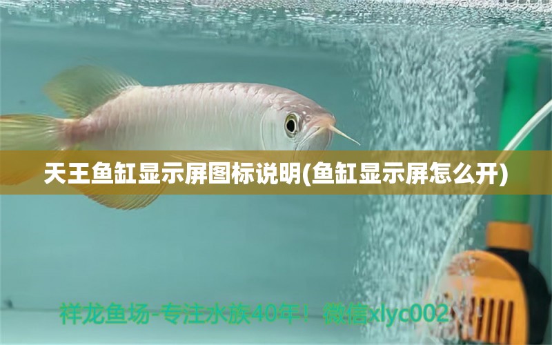 天王魚(yú)缸顯示屏圖標(biāo)說(shuō)明(魚(yú)缸顯示屏怎么開(kāi)) 蘇虎