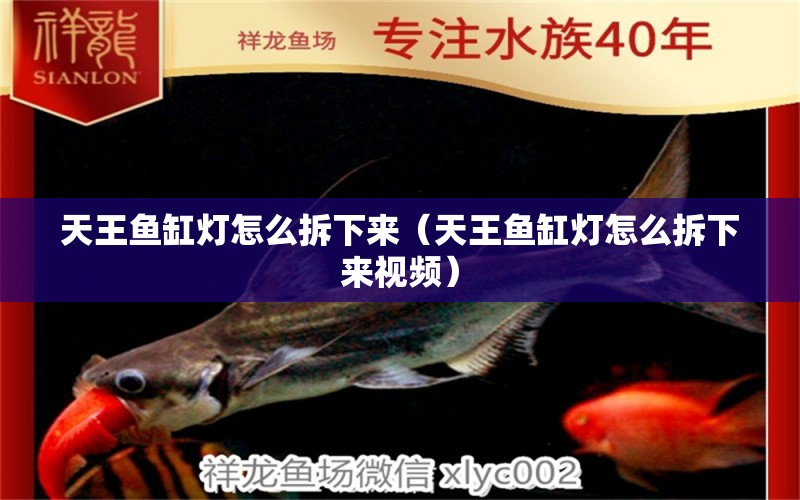 天王魚缸燈怎么拆下來（天王魚缸燈怎么拆下來視頻）