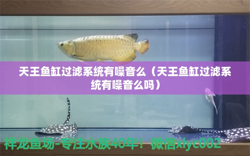 天王魚缸過濾系統(tǒng)有噪音么（天王魚缸過濾系統(tǒng)有噪音么嗎）