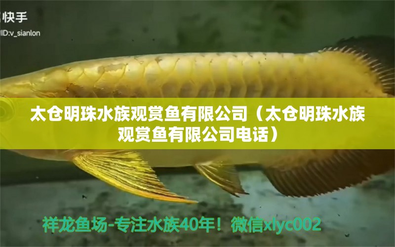 太倉明珠水族觀賞魚有限公司（太倉明珠水族觀賞魚有限公司電話）