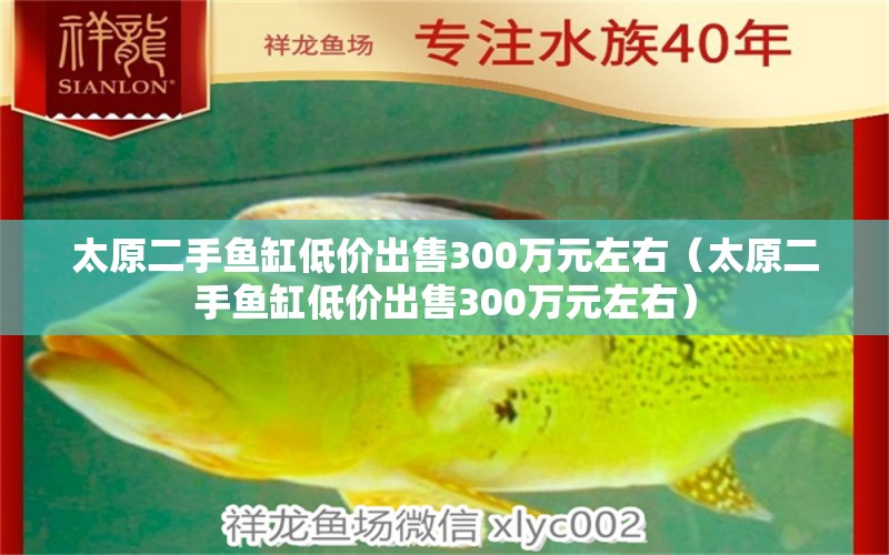 太原二手魚(yú)缸低價(jià)出售300萬(wàn)元左右（太原二手魚(yú)缸低價(jià)出售300萬(wàn)元左右）