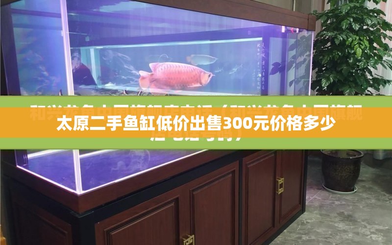 太原二手魚缸低價出售300元價格多少 水族問答