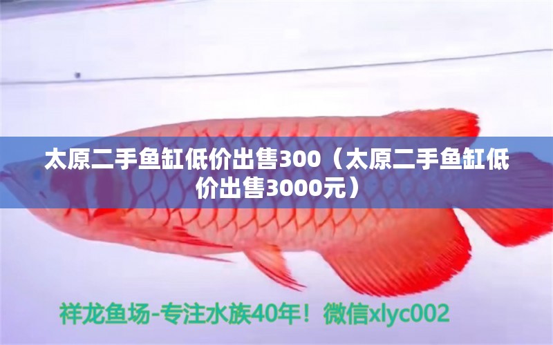 太原二手魚(yú)缸低價(jià)出售300（太原二手魚(yú)缸低價(jià)出售3000元）