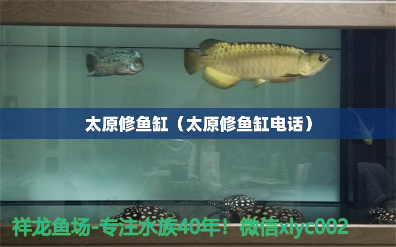 太原修魚缸（太原修魚缸電話）