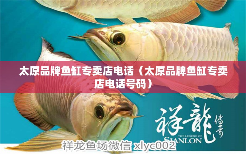 太原品牌魚缸專賣店電話（太原品牌魚缸專賣店電話號碼） 其他品牌魚缸