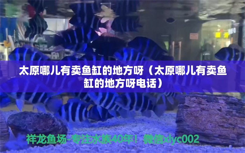 太原哪兒有賣魚缸的地方呀（太原哪兒有賣魚缸的地方呀電話）