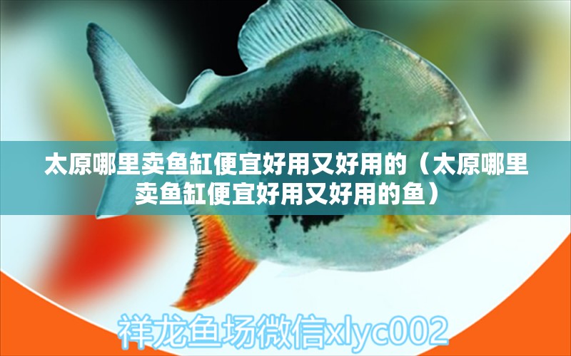 太原哪里賣魚(yú)缸便宜好用又好用的（太原哪里賣魚(yú)缸便宜好用又好用的魚(yú)）