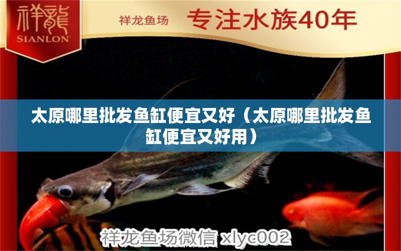 太原哪里批發(fā)魚缸便宜又好（太原哪里批發(fā)魚缸便宜又好用） 祥龍水族醫(yī)院