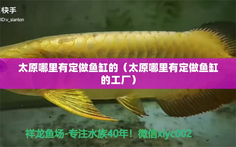 太原哪里有定做魚缸的（太原哪里有定做魚缸的工廠）