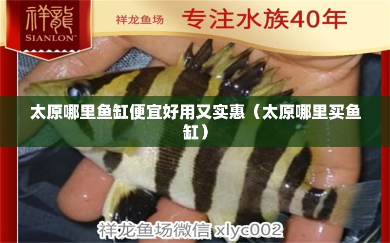 太原哪里魚缸便宜好用又實惠（太原哪里買魚缸）