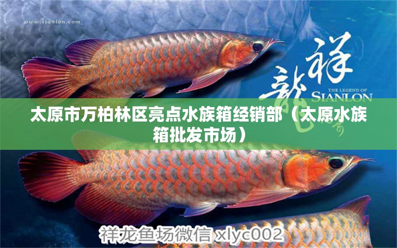 太原市萬柏林區(qū)亮點水族箱經(jīng)銷部（太原水族箱批發(fā)市場）