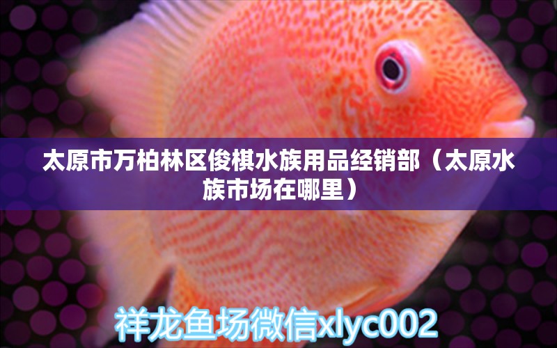 太原市萬柏林區(qū)俊棋水族用品經(jīng)銷部（太原水族市場(chǎng)在哪里） 水族用品