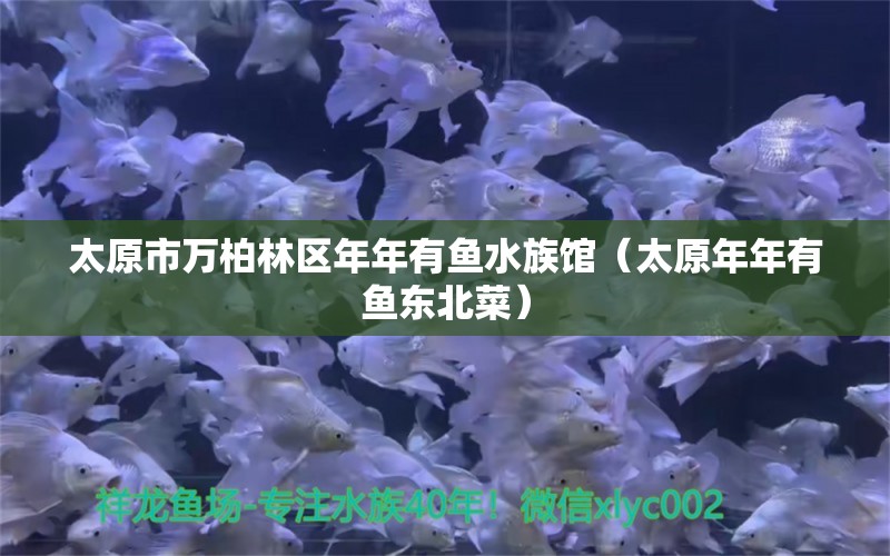 太原市萬(wàn)柏林區(qū)年年有魚水族館（太原年年有魚東北菜）