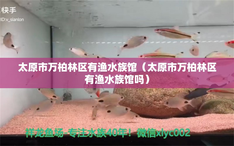 太原市萬(wàn)柏林區(qū)有漁水族館（太原市萬(wàn)柏林區(qū)有漁水族館嗎）