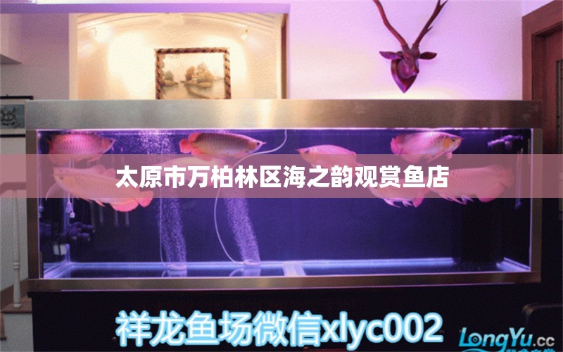 太原市萬柏林區(qū)海之韻觀賞魚店 全國水族館企業(yè)名錄