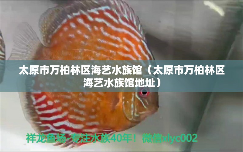 太原市萬柏林區(qū)海藝水族館（太原市萬柏林區(qū)海藝水族館地址）