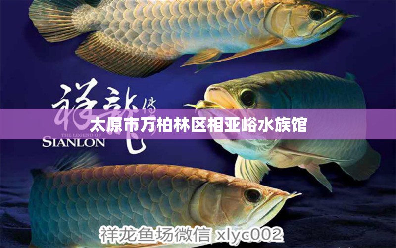 太原市萬柏林區(qū)相亞峪水族館 全國水族館企業(yè)名錄