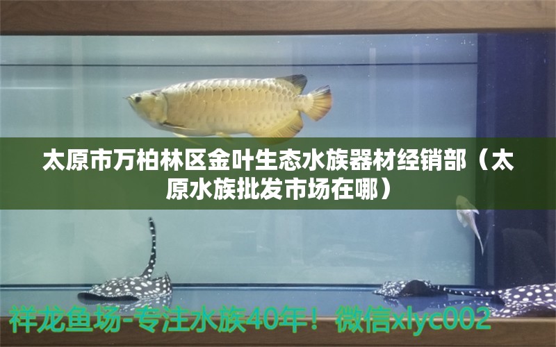 太原市萬柏林區(qū)金葉生態(tài)水族器材經(jīng)銷部（太原水族批發(fā)市場在哪）