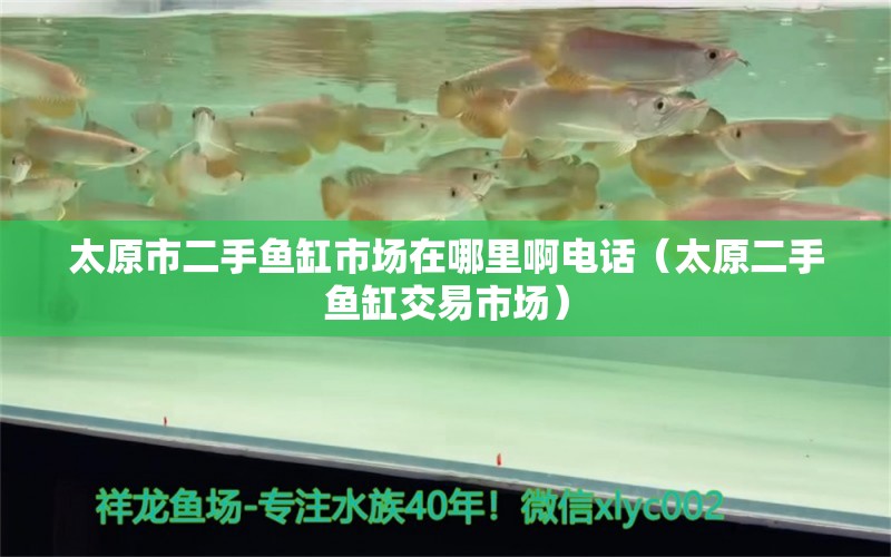 太原市二手魚缸市場在哪里啊電話（太原二手魚缸交易市場） 觀賞魚批發(fā)