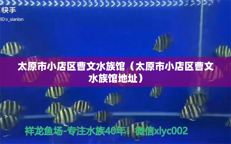 太原市小店區(qū)曹文水族館（太原市小店區(qū)曹文水族館地址）