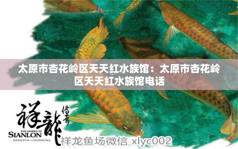 太原市杏花嶺區(qū)天天紅水族館：太原市杏花嶺區(qū)天天紅水族館電話