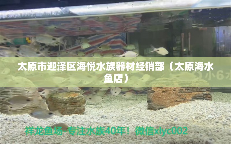 太原市迎澤區(qū)海悅水族器材經(jīng)銷部（太原海水魚店）