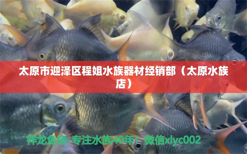 太原市迎澤區(qū)程姐水族器材經(jīng)銷(xiāo)部（太原水族店）