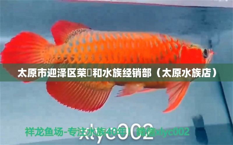 太原市迎澤區(qū)榮昇和水族經(jīng)銷部（太原水族店） 全國(guó)水族館企業(yè)名錄