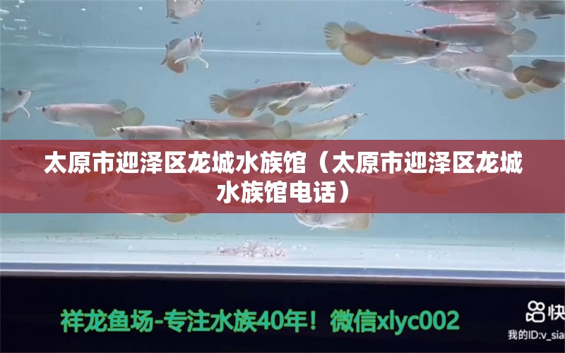 太原市迎澤區(qū)龍城水族館（太原市迎澤區(qū)龍城水族館電話） 全國水族館企業(yè)名錄