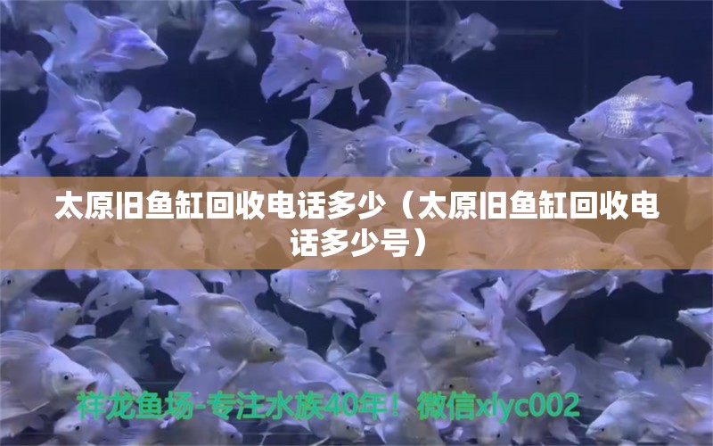 太原舊魚缸回收電話多少（太原舊魚缸回收電話多少號） 量子養(yǎng)魚技術(shù)